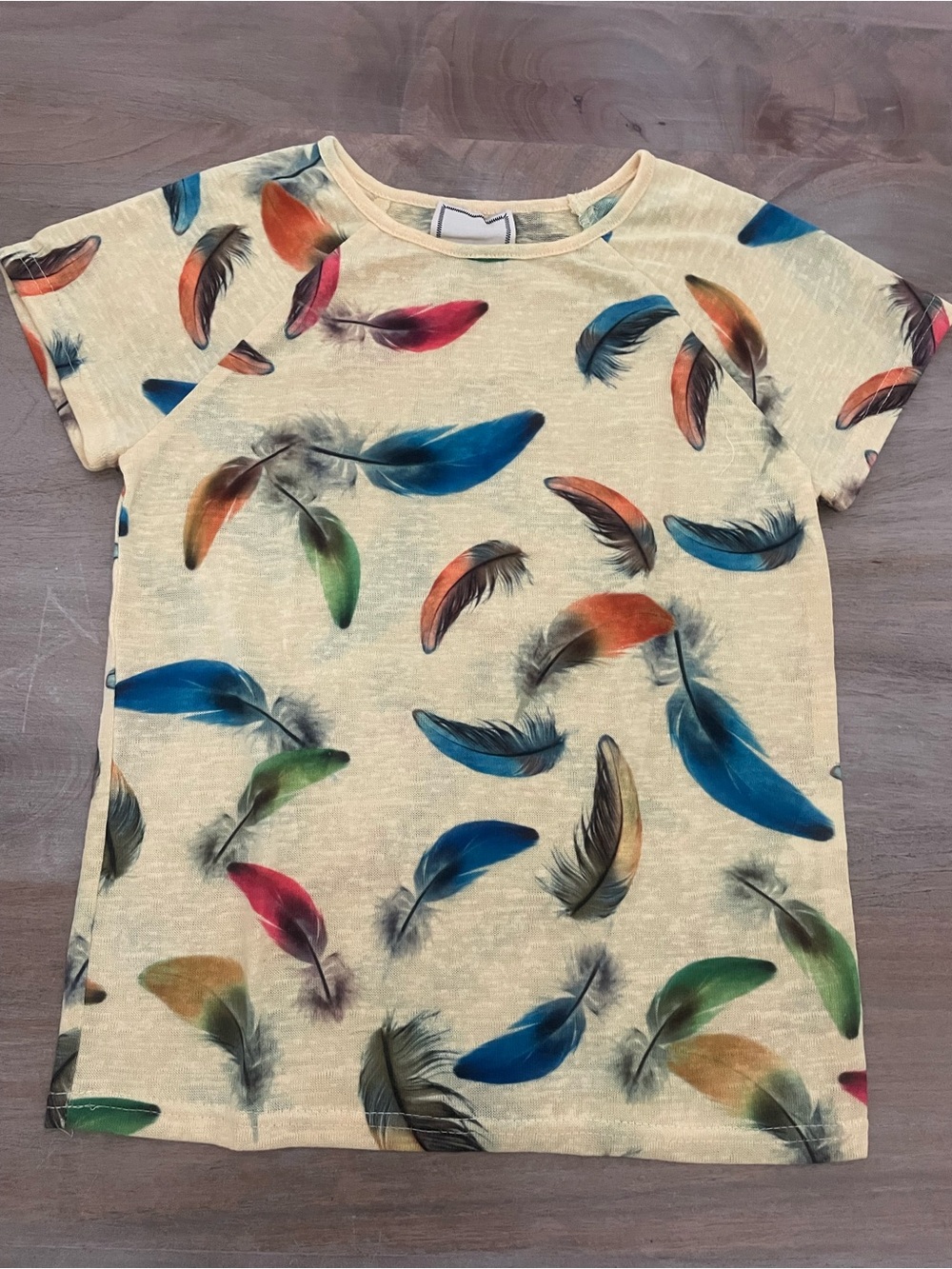 Women’s Short Sleeve Feather Print Tee - Cream